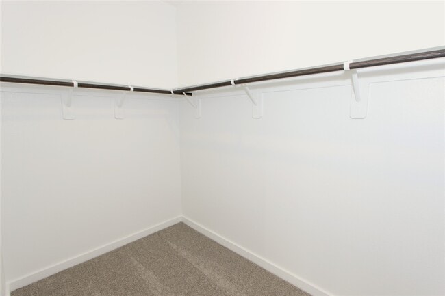 Photo - 2619 Good Morrow Dr