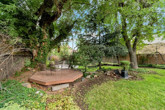 BEAUTIFUL BACKYARD