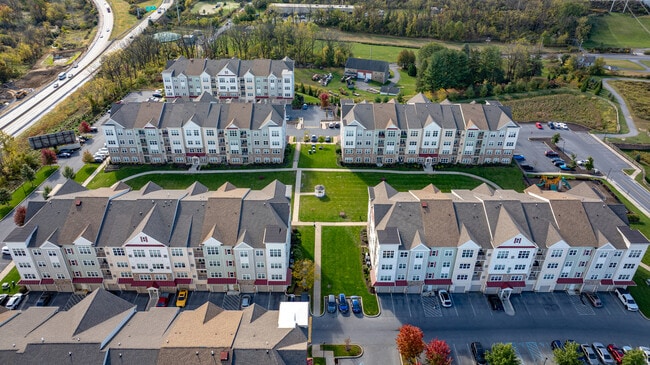 Spring View