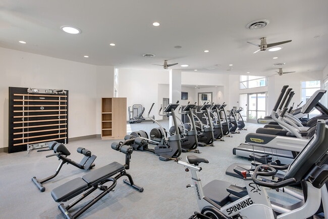 Photo - The Galloway