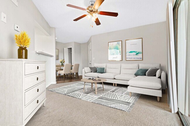 Photo - Conway Forest