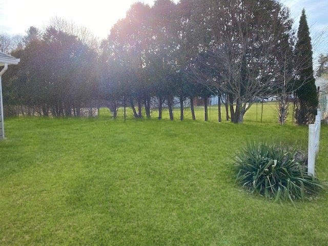 Photo - 83 Earley St