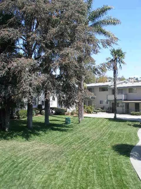 Fairmount Palms