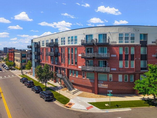 LoHi Gold -305