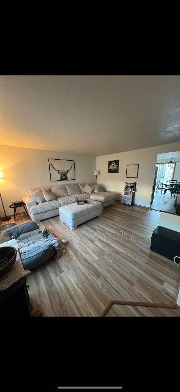 Photo - 118 Chickadee Dr