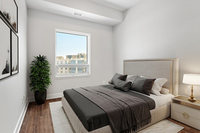 Photo - The Highlander