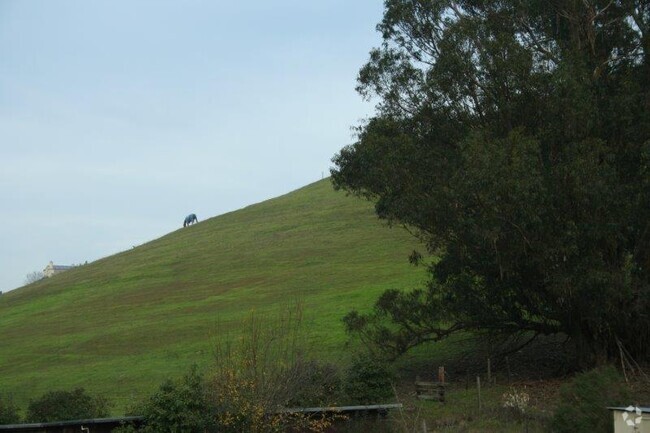 Building Photo - Country Property~West Petaluma~Keep horses... Rental