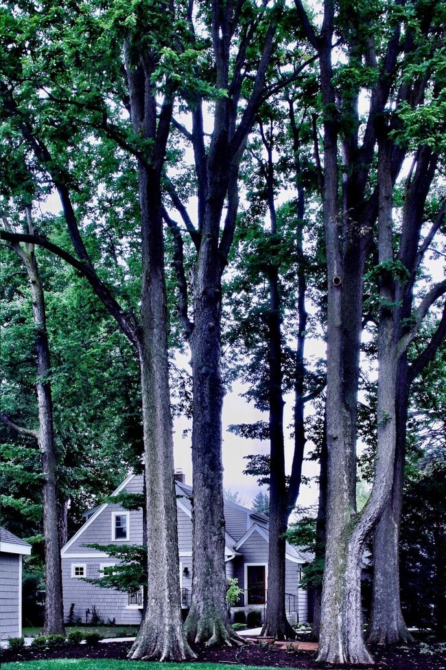 Photo - 1100 W Riverview Dr