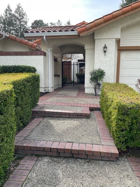 Photo - 335 Live Oak Dr