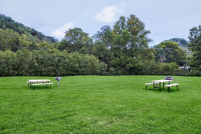 Photo - Paint Landing