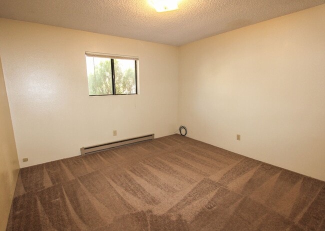 Photo - 210 S Rush St Unit Apt C