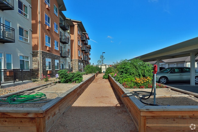 Affinity at Albuquerque Senior Apartments - Affinity at Albuquerque 55+