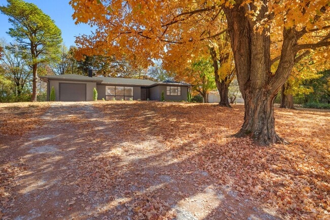 2096 Box Ave