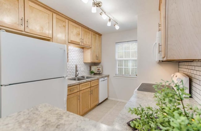 Photo - 808 Kalanchoe Ct