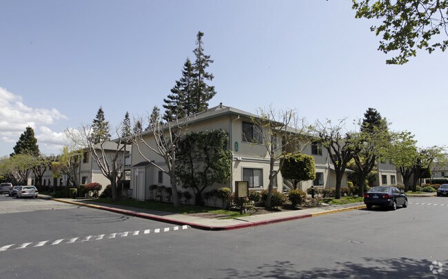 Amberwood Garden Apartments - Amberwood Garden Apartments