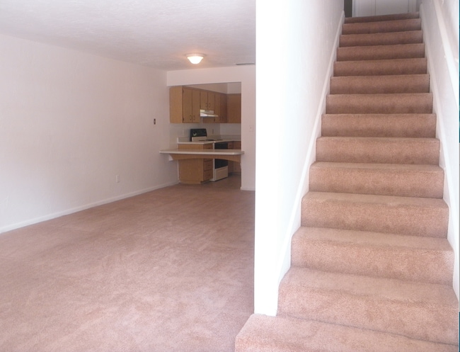 Napier Grant Apartments - Napier Grant Apartments