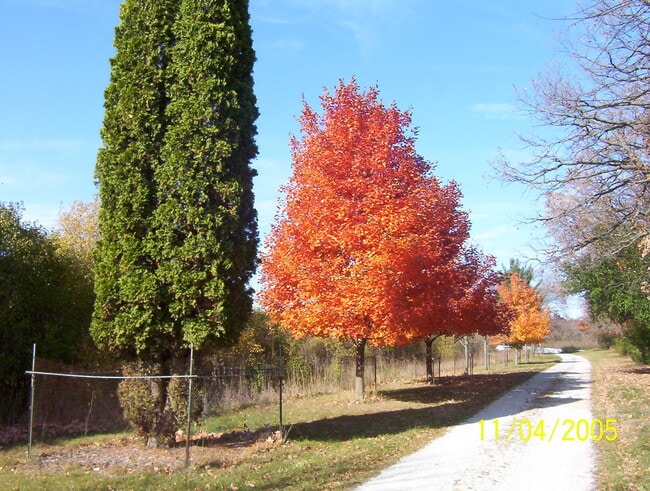 Building Photo - 4083 Ames Rd Unit A