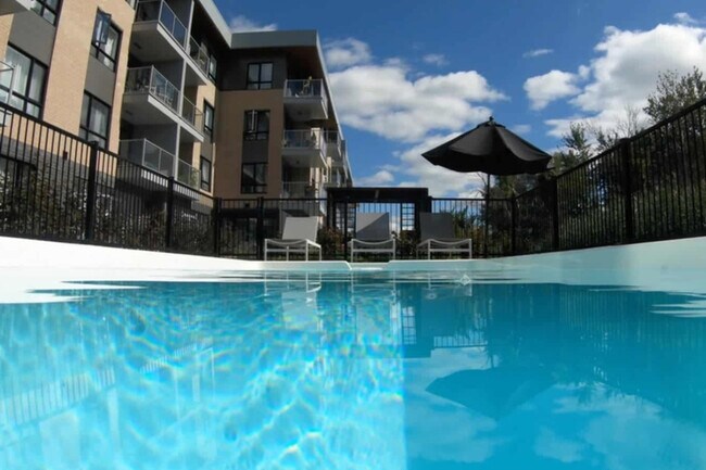 Photo - Le 6000 Tourbière