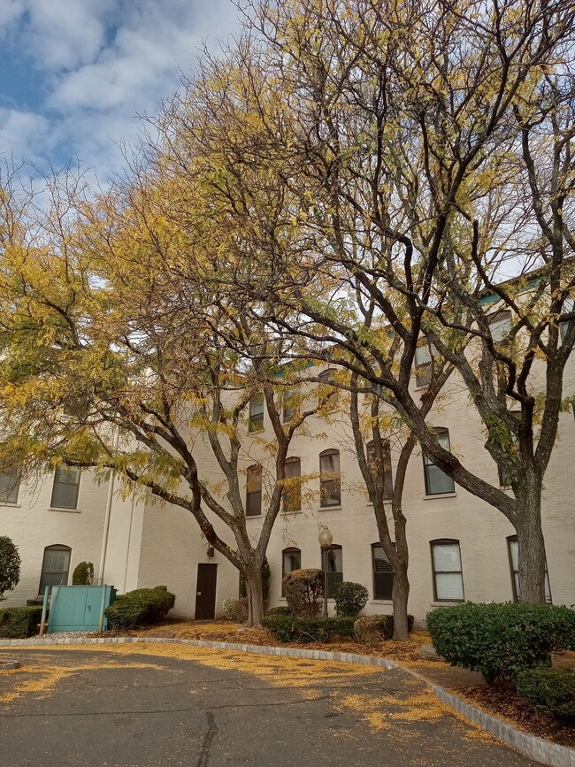 Photo - 54 W Cherry St Unidad 202