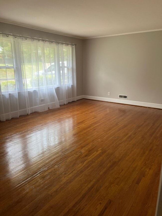 Photo - AVAILABLE TO SHOW!