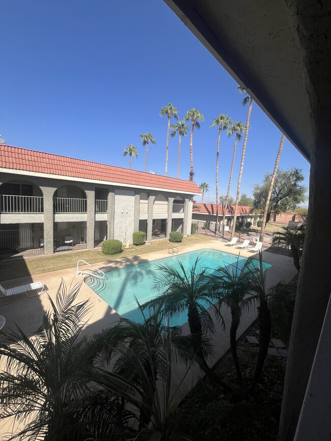 Patio Pool View - 1650 N 87th Ter Unidad 26B Rental