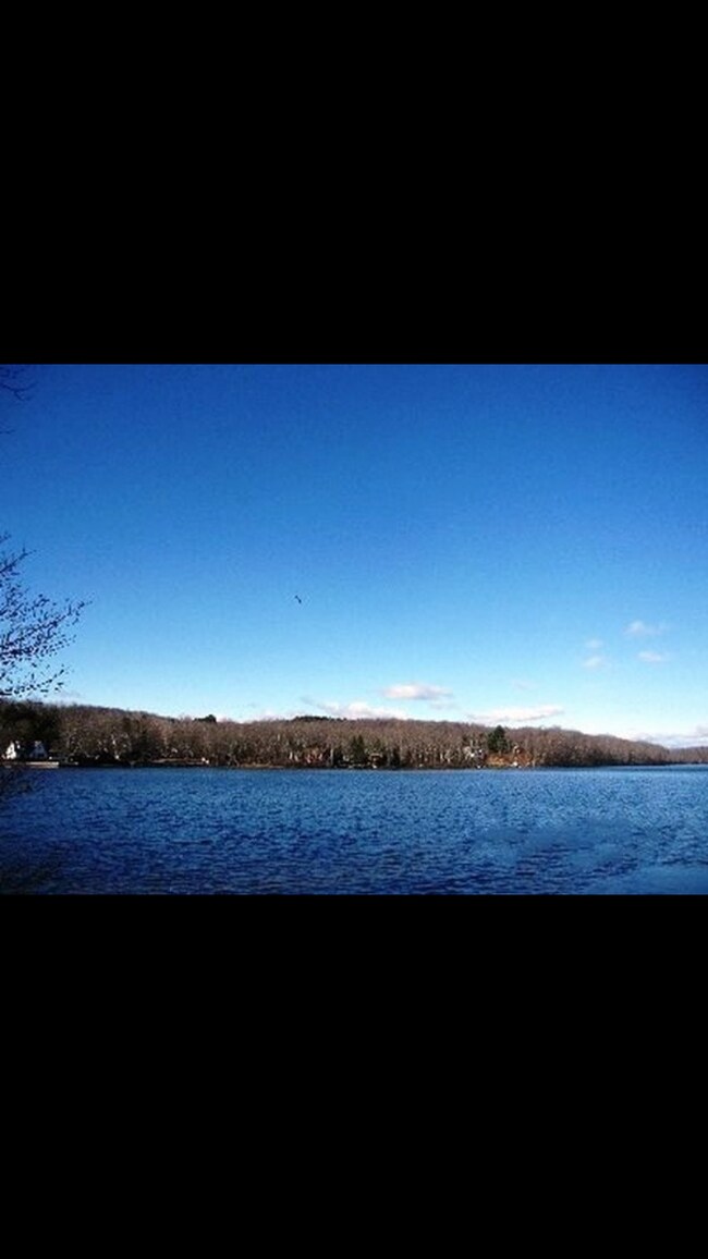 Photo - 1415 Briscoe Rd