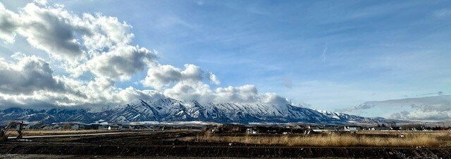 Photo - NT 3380