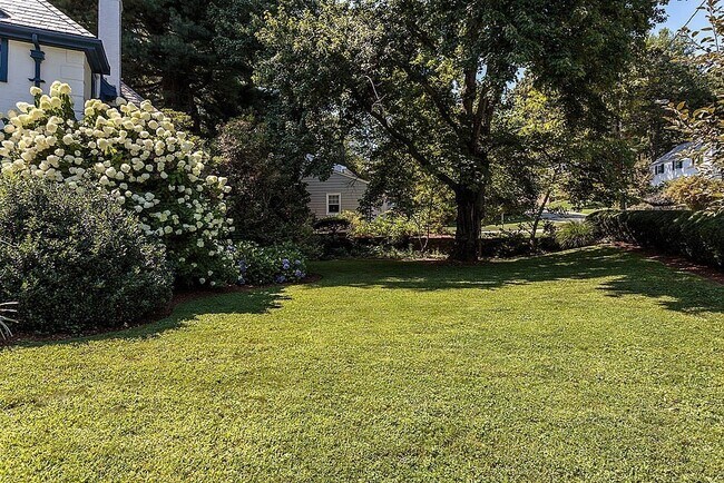 Photo - 244 Clifton St