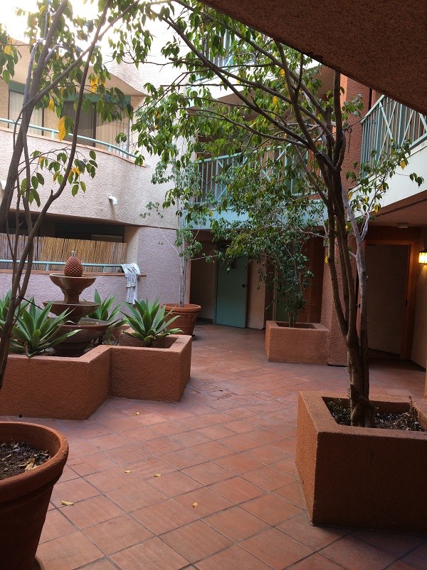 Photo - 1791 N Sycamore Ave Apartamentos Unidad 201