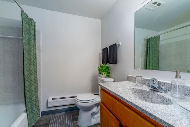 2BR, 1BA - 905SF - Bathroom - The Springs