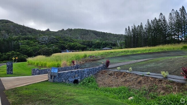 Building Photo - Brand New 2-bedroom Home in Wailuku Countr...