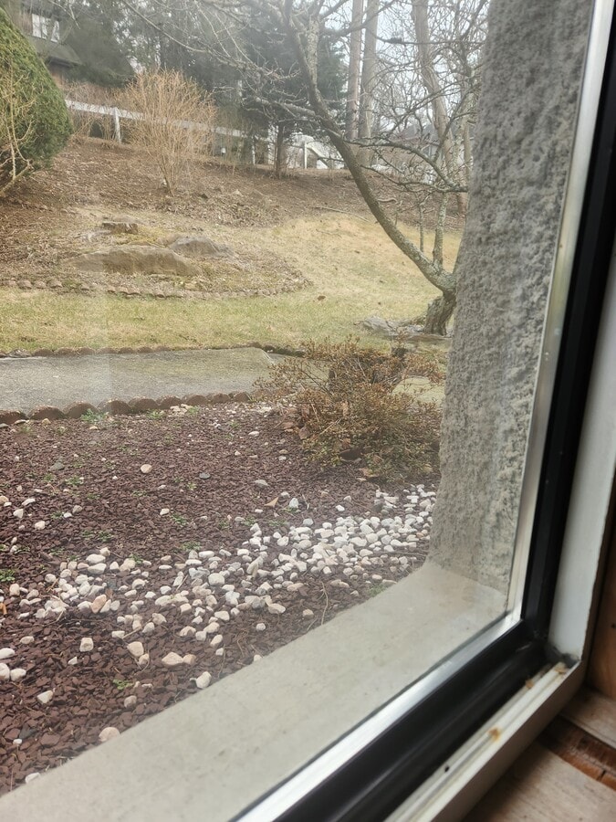 Gran apartamento con patio trasero. - 735 Sherman Ave