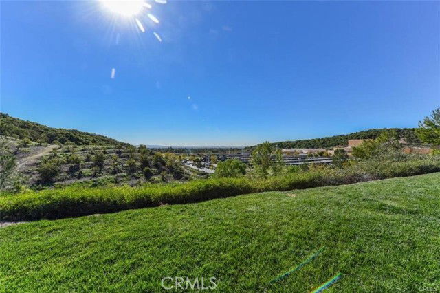 Photo - 134 Stallion