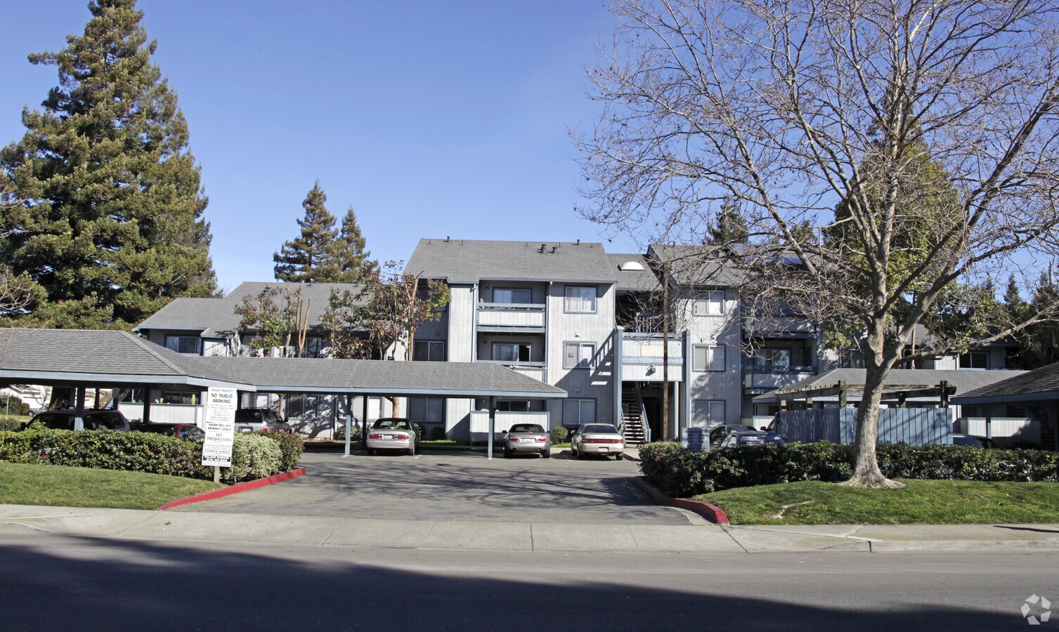 Cypress Glen - Cypress Glen