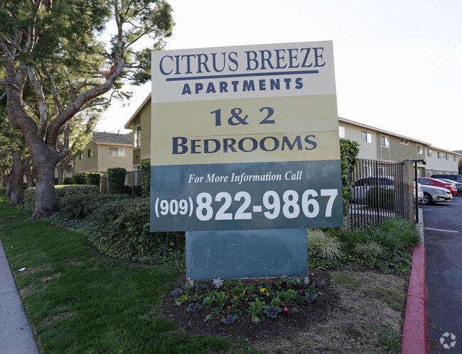 Photo - Citrus Breeze Apartments