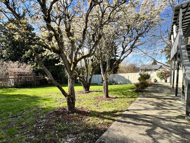 Photo - 4721 43rd Ave S Unit B