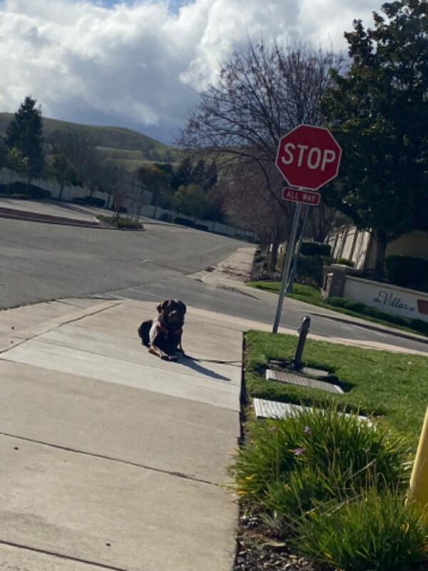 Photo - 9454 California Oak Cir