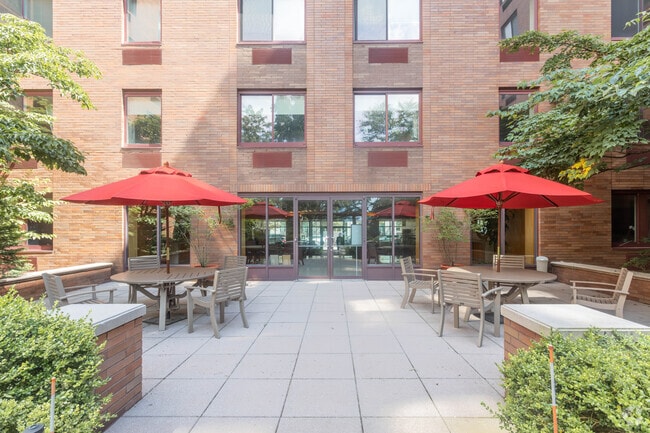 Courtyard - South Cove Plaza Apartments