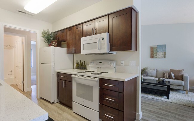 remodel kitchen