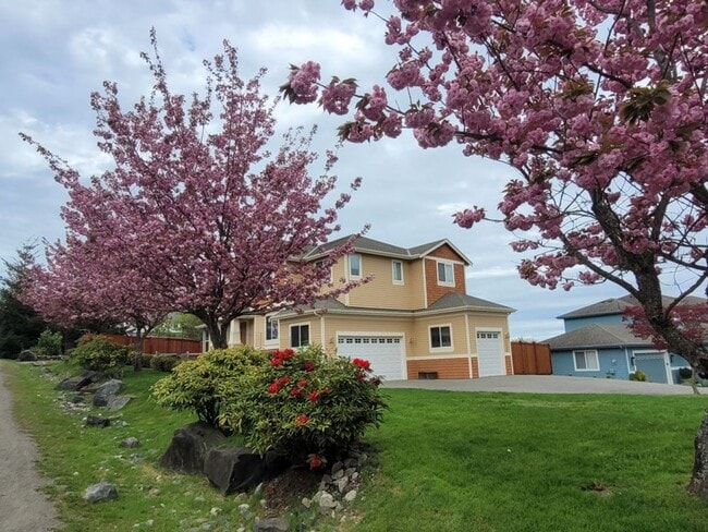 UPDATED CHAFFEY 4 BEDROOOM KINGSTON HOME F... - UPDATED CHAFFEY 4 BEDROOOM KINGSTON HOME F...