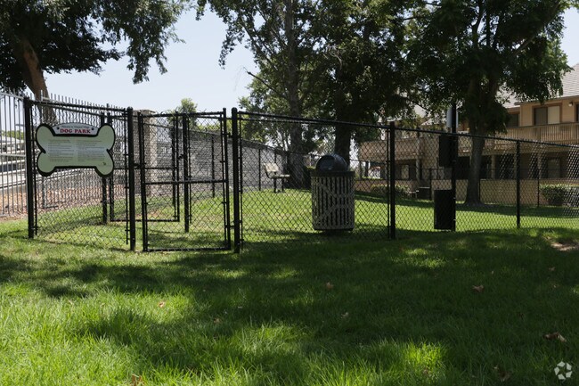 Dog Park