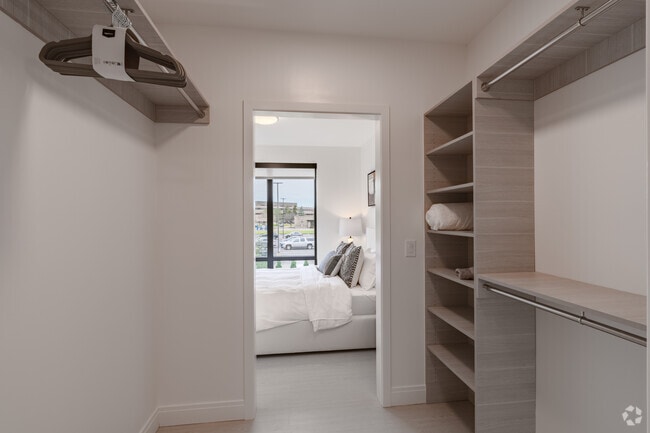 1BR, 1BA - 673SF - Walk-In Closet - The Apex West Bloomfield