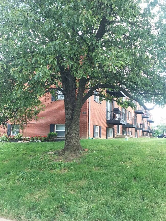 Photo - Beecher Street