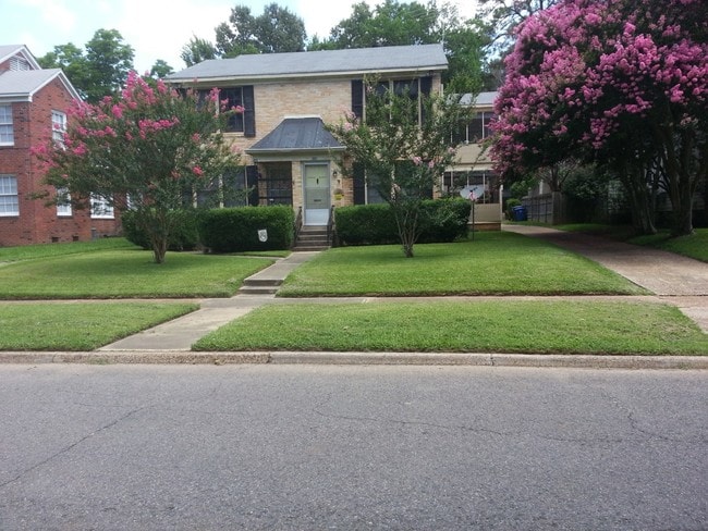 vista desde la calle - 528 Stephenson St