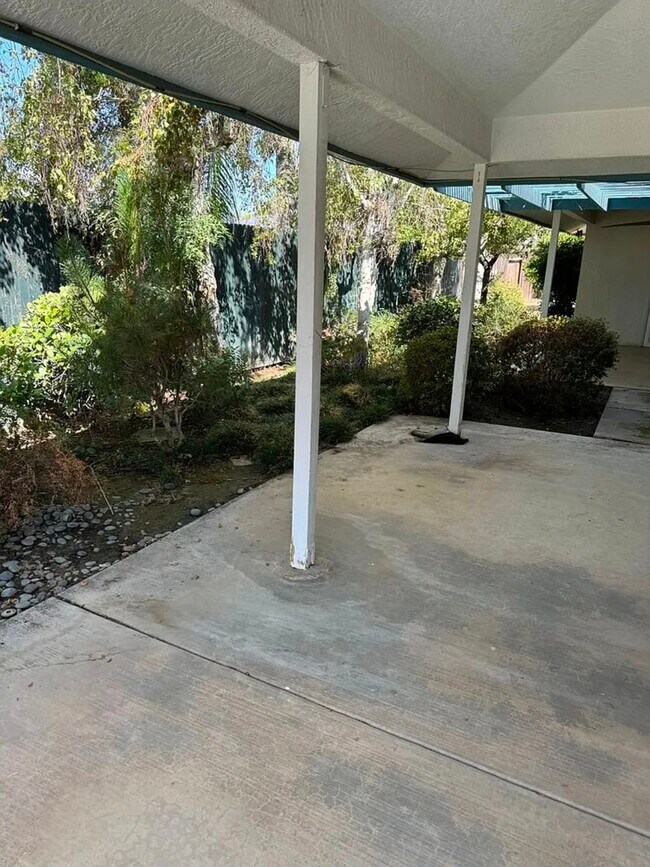 Photo - 3005 Summer Creek Ct