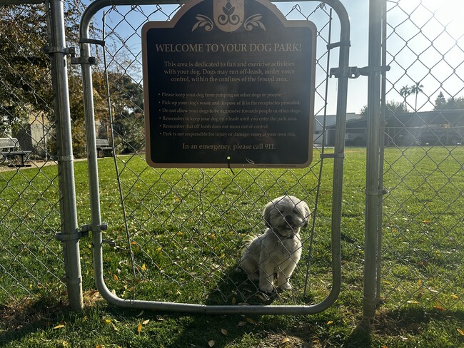 Parque para perros - The Laurel Tree Apartments