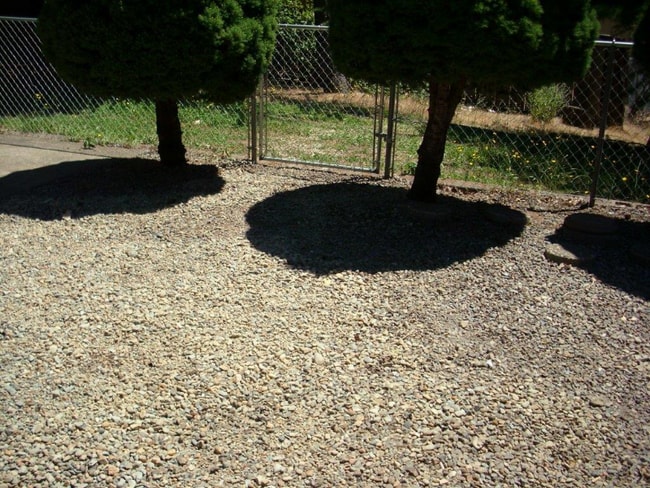 Photo - 326 W Stevenson St