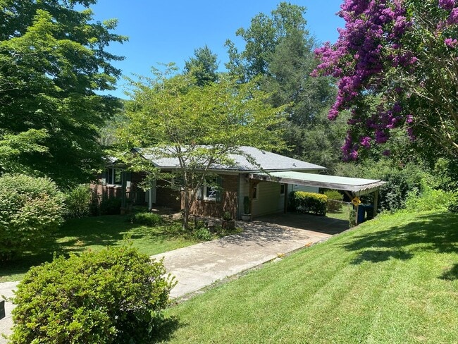 Photo - North AVL - Spacious Home with Large Yard ...