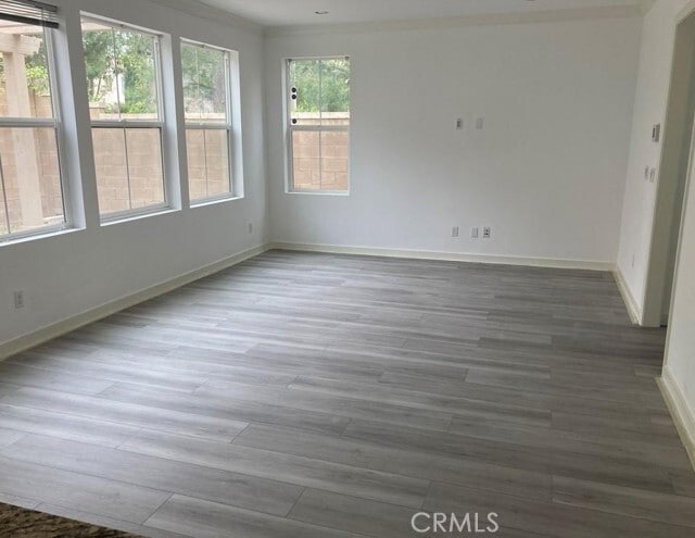 Photo - 67 Island Coral