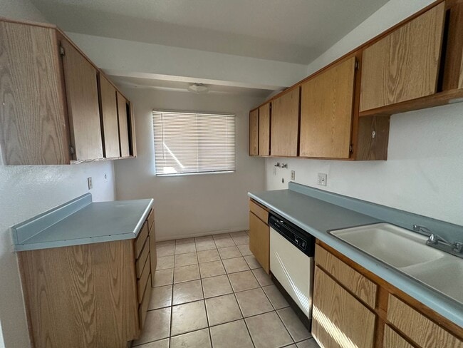 240 Palm Dr